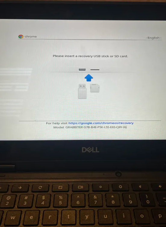 Recovery Screen Example